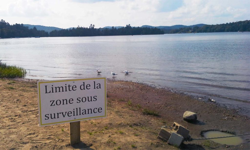 photo at the beach saying your coverage ends here